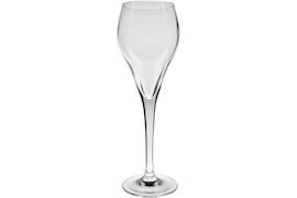 Champagneglas 16 cl Brio,